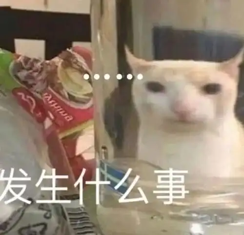  表情包我不管,我要爱他一辈子