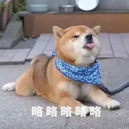  略略略喵喵表情包无水印