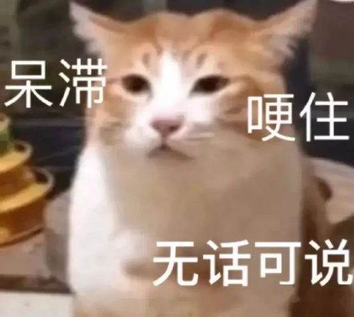  岑溪已开启上蒸下煮模式.....但有件事必须牢记