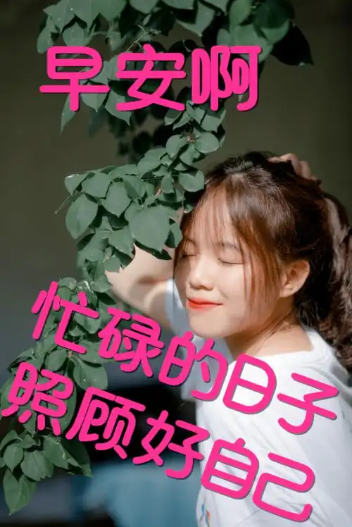  2020早上好动图表情包,清晨祝福早上好问候语温馨语录