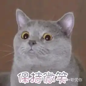 捏手表情包猫咪