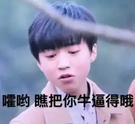  最新的王俊凯表情包16p还有这样的操作