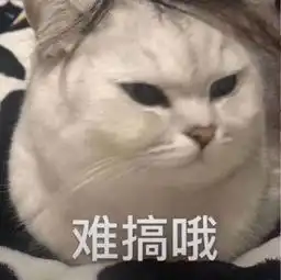  斗图表情包老公,我来了