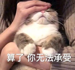  佟丽娅红毯再也不用全身擦粉翻车了20分秒变白黑科技有用吗