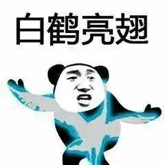  熊猫头表情包我将毕生的武功全都传给你