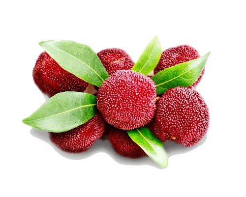  丹寨趣味杨梅节,乐享梅好时光