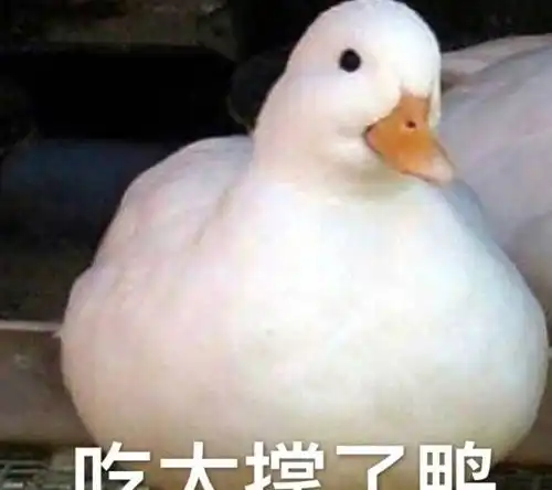  幽默笑话一女子网上求助问为什么我一直打嗝,神回复屁迷路了