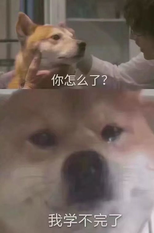  有没有你长理人的期末大作战