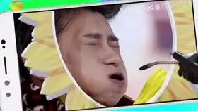  表情包界的两大扛把子发际线男孩小吴和王境泽登上快乐大本营,不是说好不进娱乐圈吗因为眉有办法
