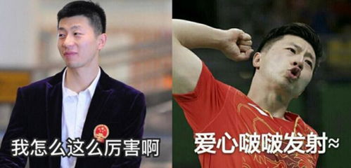  国乒队长马龙表情包