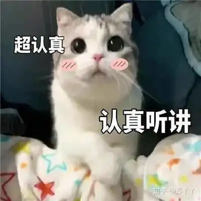  仙女裙pk辣妹裙这100条,太太太迷人了