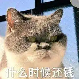  还钱没有钱带走
