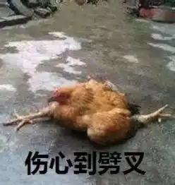  如何制霸都市小吃界