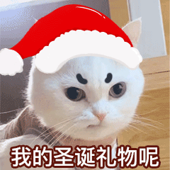 萌宠表情包gif鸭鸭