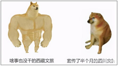  国民级网红丁真,三亚人民喊你来喝椰子看大海