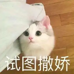  猫砂猫粮猫盆子的微博微博