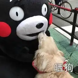  朋友圈的日常表情包无水印版