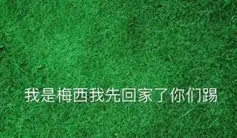  梅西c罗回家了表情包大全