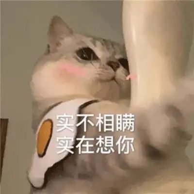  搞笑聊天表情包实不相瞒实在想你