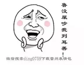  雷死不偿命雷州话本土原创表情二