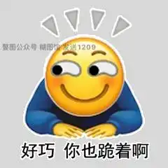  花式下跪表情包丨小黄脸花式下跪表情包丨这是你要找的花式下跪镖旗包吗