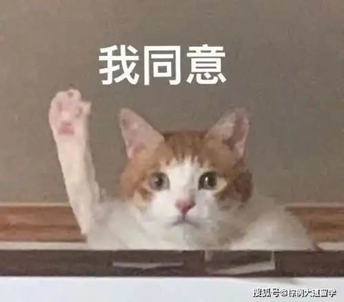  别去留学,百万学费换来7000月薪er