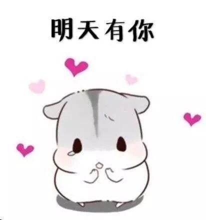  撩女朋友老婆表情包哼,你到底知不知道,我有多喜欢你