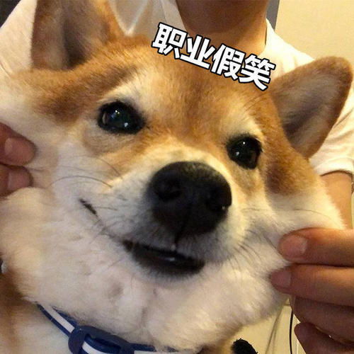  每日一笑老爸坐在沙发上看报纸,看着扑哧一声,笑了起来