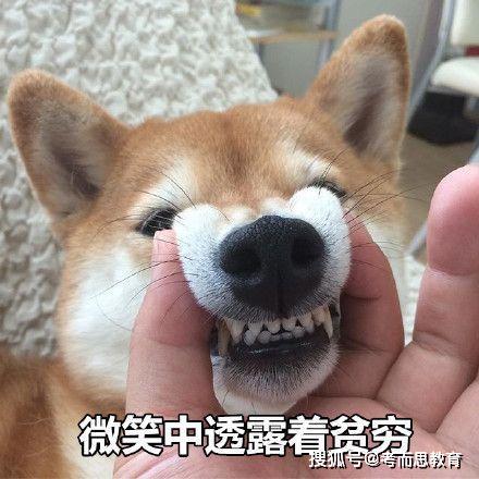  留学生在国外到底是怎样的存在