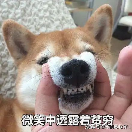  留学生在国外到底是怎样的存在