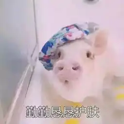 我都恨不得一天敷8次面膜了,为什么皮肤还是干燥 我都恨不得一天敷8次面膜了,为什么皮肤还是干燥