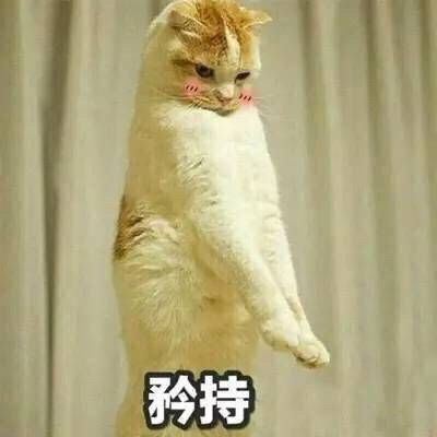 慕容嗷嗷表情包嗅嗅