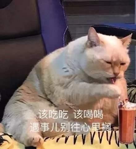  有哪些适合情侣间聊天使用的表情包