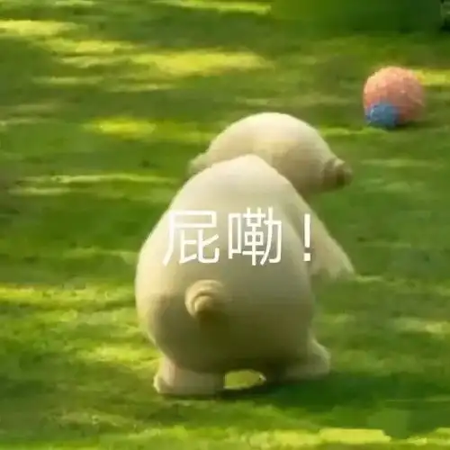  表情包我演过最完美的戏,就是上课时假装听懂了的样子