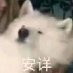  何猷君成功求婚奚梦瑶,是甜甜的爱情还是一入豪门深似海
