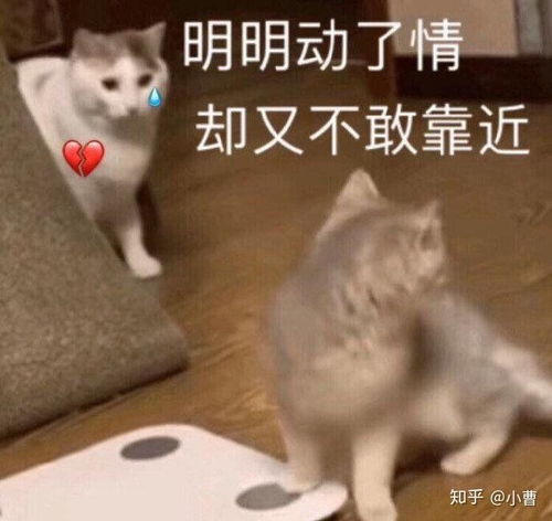  有哪些发微信二维码加好友时有趣的文案吗