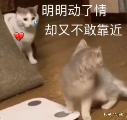  有哪些发微信二维码加好友时有趣的文案吗