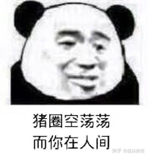  请留下一样你们引以为傲的表情包
