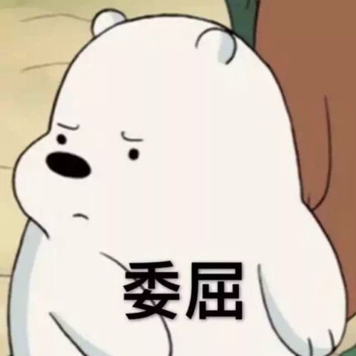 我回来了表情包可爱小朱