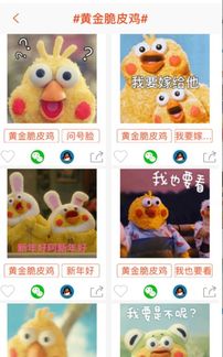 在哪里可以搞到这只鸡的表情包