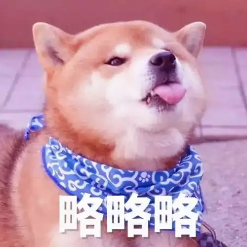  拍了拍你,并说这是你的录取通知书嘛