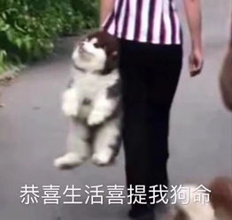  美过高圆圆这话题少女的颜值密码被破解啦