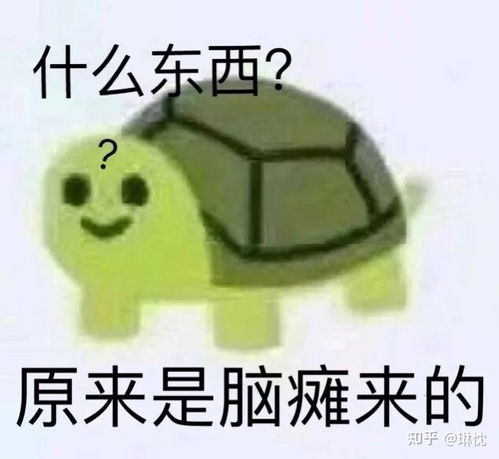  你有哪些关于王思聪和孙一宁事件的表情包和经典语录,可以分享一下吗