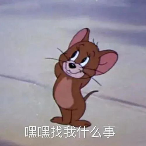  说了多少次我喜欢你今日头条