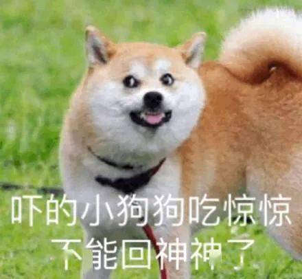  香港第一败家女,花光顶流男星上亿资产,离婚后反而逆袭成带货女王