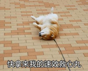  粤事鉴黄师每晚处理千条信息身体变差要求公司赔工伤