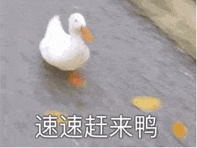  数字媒体应用技术中外合作办学专业了解一下
