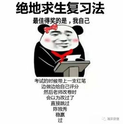 你的期末如期而至注意查收