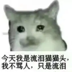  在进来看看这届宠物变丑大赛
