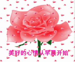  很是好看早晨动态图片大全2019最新早上好图片带字和鲜花